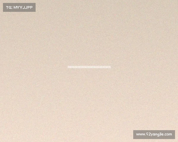 足球俱乐部成功转会案例分析：从交易策略到球员表现的全面解读